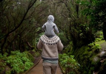 What is a non-custodial parent?